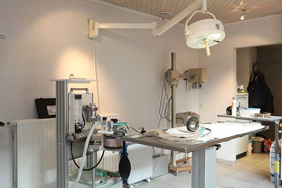 Abdominale chirurgie van huisdier