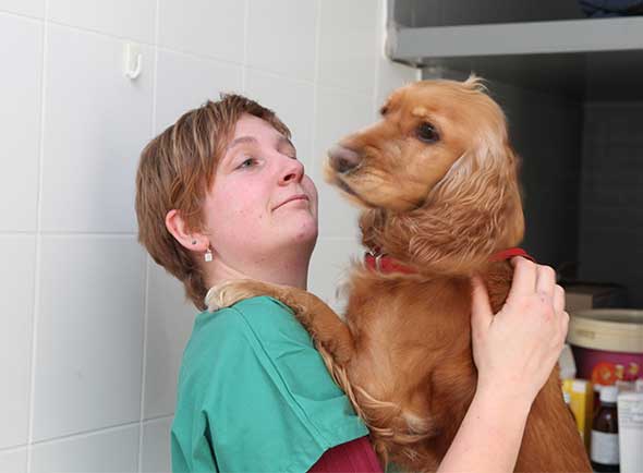 Dierenarts Kirtsen bij het verzorgen van een hond