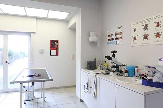 Radiografie